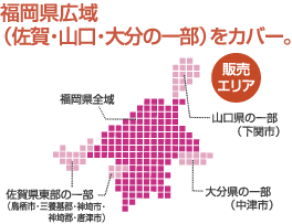 �������L��i����E�R���E�啪�̈ꕔ�j���J�o�[